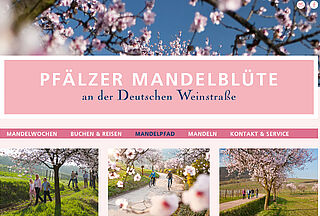 Mandelblüte Pfalz 2016